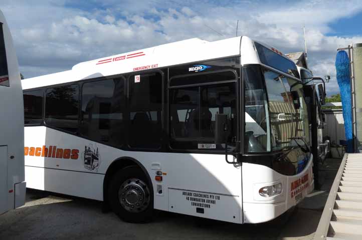 Adelaide Coachlines Bustech TDi 46